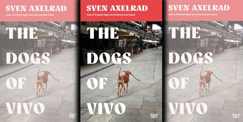 The Dogs of Vivo: A coming-of-age tale with gothic charm