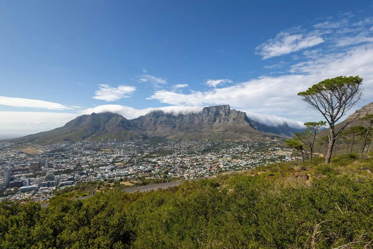 Table Mountain National Park to undergo planned ecological burns
