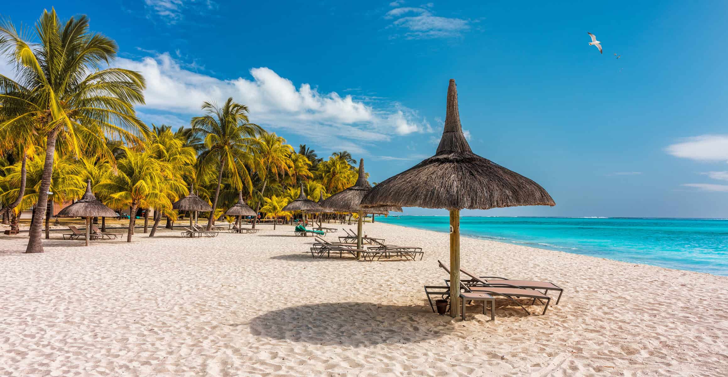 Why More South Africans Are Falling in Love with Mauritius Now