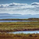 The cheapest climate defence we have is in the ground – The Mail & Guardian