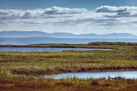 The cheapest climate defence we have is in the ground – The Mail & Guardian