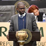 Rise Mzansi’s Makashule Gana elected impeachment committee chairperson – The Mail & Guardian