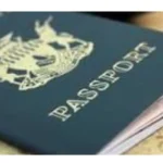 Zimbabwe group urges repatriation of citizens amid SA displacement