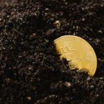 Crypto Corner: We’re no closer to figuring out what digital assets are in SA