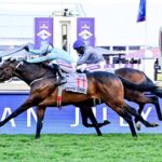 Star Major is new Durban July favourite