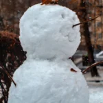 WEATHER: Disruptive SNOW expected to freeze SA