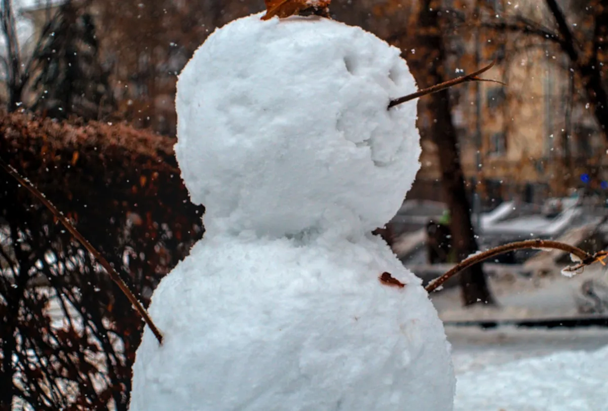WEATHER: Disruptive SNOW expected to freeze SA