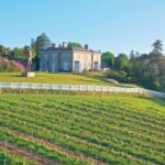 Savouring fruits of the vine with SA flavour