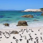 Table Mountain National Park changes operating hours for winter