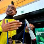SA’s annual cannabis expo reflects a budding industry