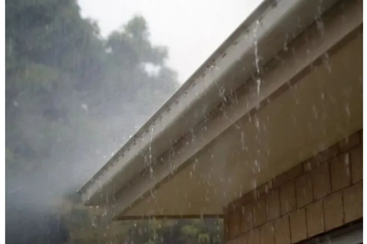 WEATHER: Fog and showers expected in parts of the country